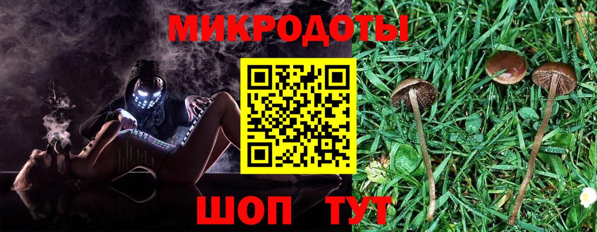 Азов  Псилоцибиновые грибы Psilocybine cubensis  Вход с VPN 